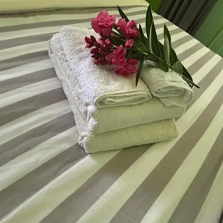 D'angelo Guest house